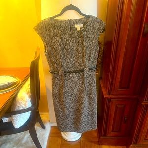 Career Dressbarn dress
